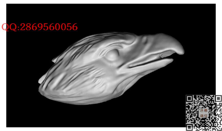 XA254鹰头_STL圆雕图立体模型3d打印核雕精雕图浮雕图