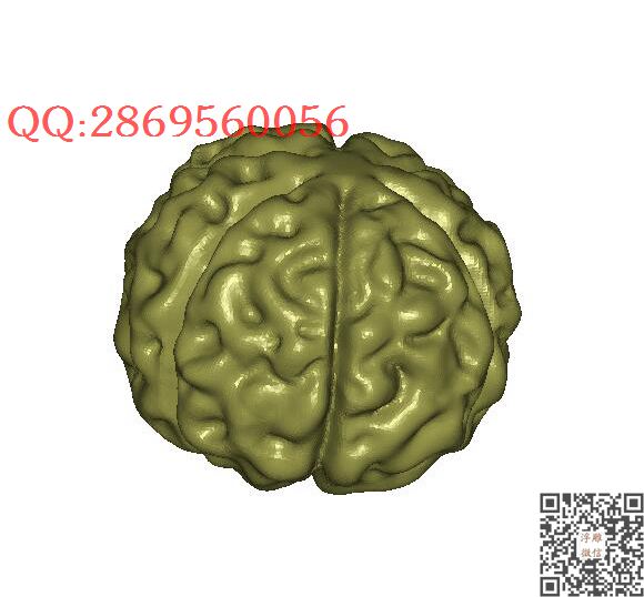 六瓣金刚菩提_STL圆雕图立体模型3d打印核雕精雕图浮雕图