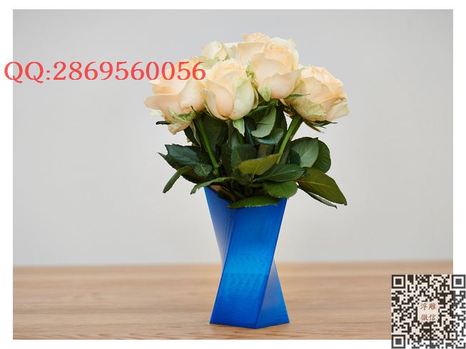 蓝色扭曲花瓶_STL圆雕图立体模型3d打印核雕精雕图浮雕图