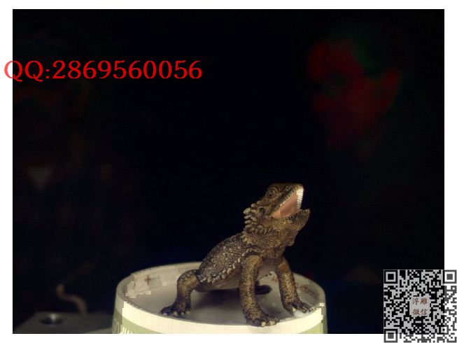 蜥蜴1_STL圆雕图立体模型3d打印核雕精雕图浮雕图